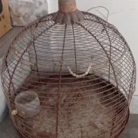 قفس پرنده