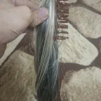 مو کیلیپسی