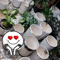 حراج تعدادی گلدان