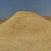 کاه سفید گندم فروشی