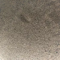 بذر یونجه