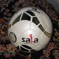 توپ سالنی