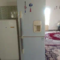 سالم وبی عیب