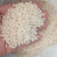 برنج هاشمی وطارم