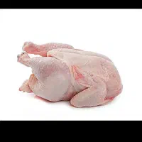 پخش مرغ،و سفارش کباب جوجه و کت بال ذغالی