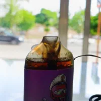 پاد شارژی