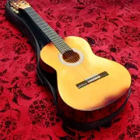 گیتار حرفه ای