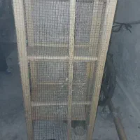 جفتی کفتر