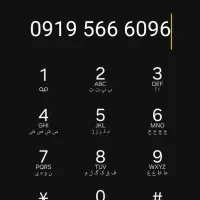 خط 0919 بیلبوردی
