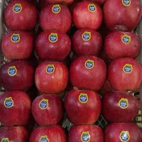 باغچه الوان  متراژ به دلخواه مشتری