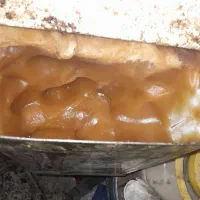 عسل طبیعی