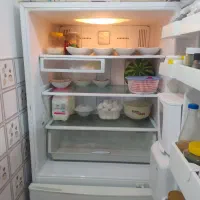 یخچال فریزر اسنوا