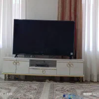 زیر تلویزیونی