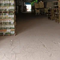 خیارشور و ترشیجات