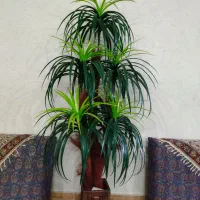 ۲عدد گل مصنوعی زیبا