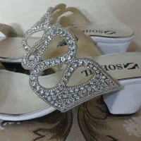 کفش مجلسی