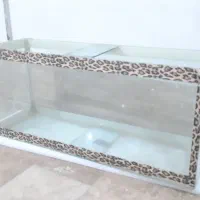 اکواریوم