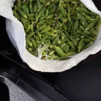 بامیه ریز وتازه