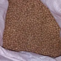 نخود درجه یک|عمدهفروشی|سلطانیه, |دیوار