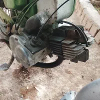 زرند خیابان شاهد