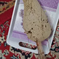 عسل وحشی باشاخه