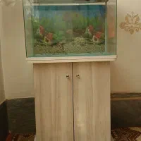 اکواریوم شیشه خم شرکتی