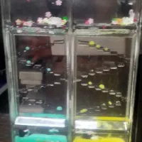 اکواریوم سه بعدی یا ساعت شنی