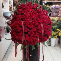 گل رز|گل و گیاه طبیعی|اصفهان, شاهزید|دیوار