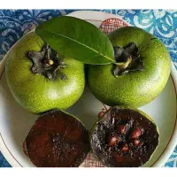 فروش میوه بلک ساپوت black sapot