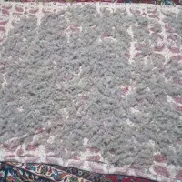 چای کوهی