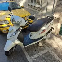 وگو سفید ۹۵