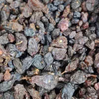 کشمش مرغوب|خوردنی و آشامیدنی|تاکستان, |دیوار