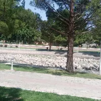 گمشده