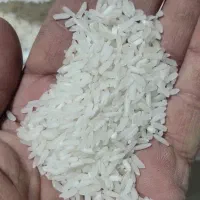 برنج پاکستانی زیرقیمت بازار