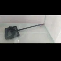 اکواریوم
