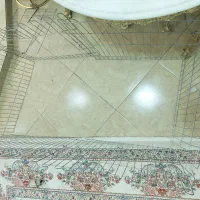 پارک سگ