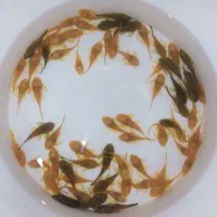 توضیحات کامل مطالعه شود گوپی و لجنخوار