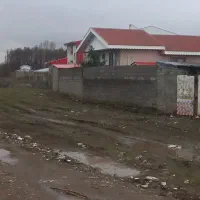 زمین افرای بشمن تک برگ