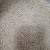 برنج|خوردنی و آشامیدنی|زیباکنار, |دیوار