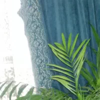 دوتا پرده کناره