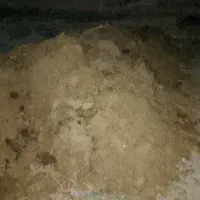 کود گوسفندی چند ساله کهنه