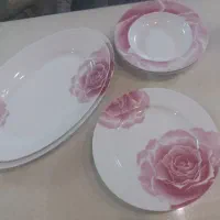 ظروف چینی زرین