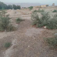 زمین-69هکتاری