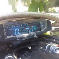 تریل طرح هاسکی