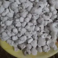 زاغ سوختن نظر گرفتن رفع چشم رفع بلا سرکتاب
