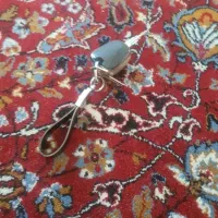 مدارک بنده گم شده