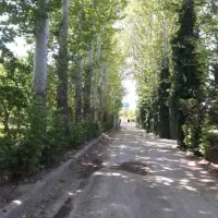 باغچه