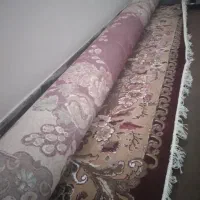 قالی ۱۲متری نو نو