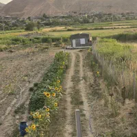 باغ 3000 متری
