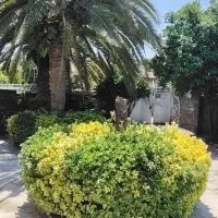 ۷۴۹متر زمین/۱۶۳بنا/حیاط بزرگ/بشمن/خوش قیمت